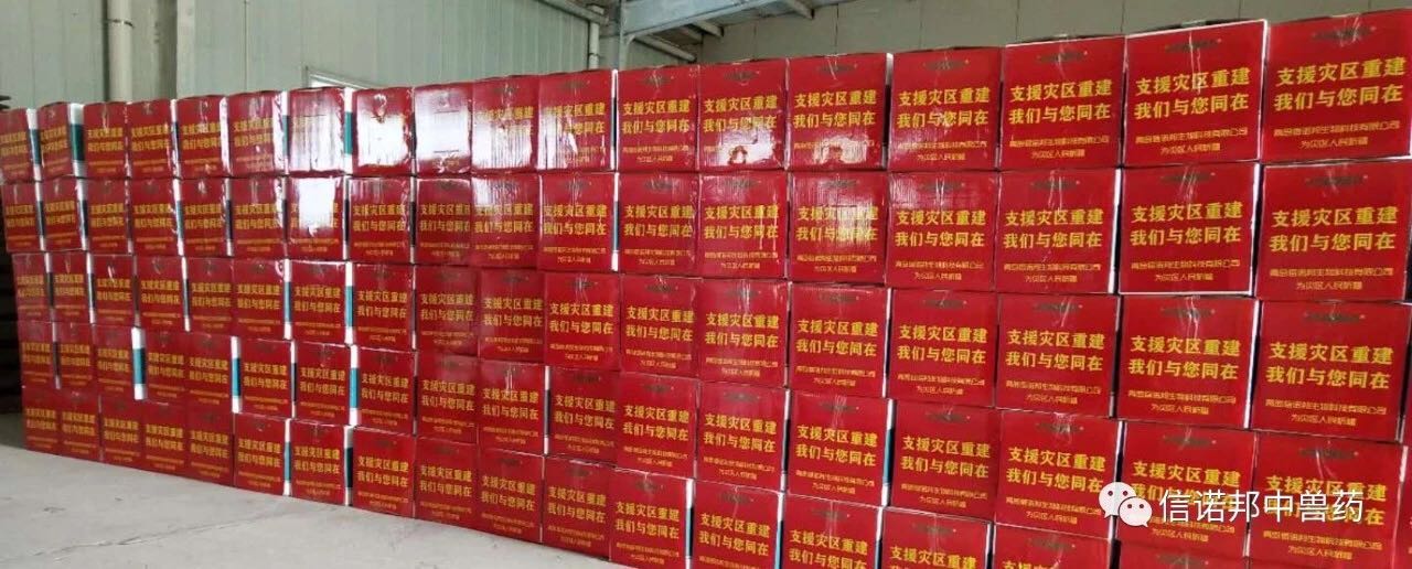 綿薄之力積沙成塔，攜手同心抗洪救災(zāi)‖信諾邦在行動(dòng)