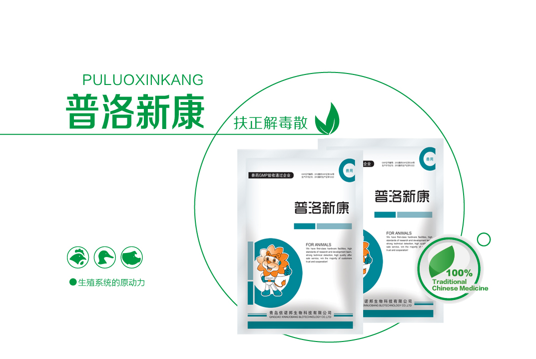 實證案例：普洛新康用于病后恢復(fù)產(chǎn)蛋的應(yīng)用